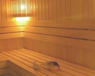 Сауна Сауна Лидия в Феодосии